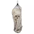 Kallo ja luuranko osina, n. 40 cm - Kallot, Halloweenrekvisiitta - HOR428 - 2