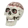 Pääkallo Mulkosilmä, liikkuva leuka - Kallot, Halloweenrekvisiitta - HOR598 - 1