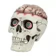 Pääkallo Mulkosilmä, liikkuva leuka - Kallot, Halloweenrekvisiitta - HOR598 - 5