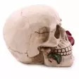 Pääkallo Skull with Red Rose - Kallot, Halloweenrekvisiitta - HOR708 - 4