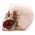 Pääkallo Skull with Red Rose - Kallot, Halloweenrekvisiitta - HOR708 - 2