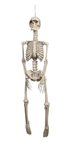 Luuranko 92-cm nivelletty - Kallot, Halloweenrekvisiitta - HOR168 - 1