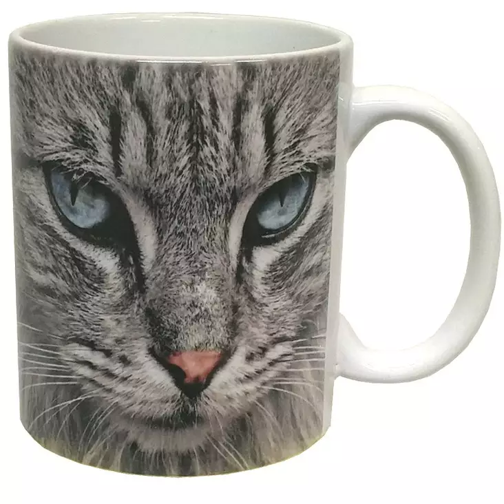 Muki Maine Coon, lahjapakkauksessa - Mukit - MUKI148 - 1