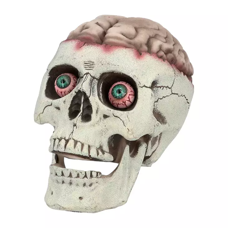 Pääkallo Mulkosilmä, liikkuva leuka - Kallot, Halloweenrekvisiitta - HOR598 - 1