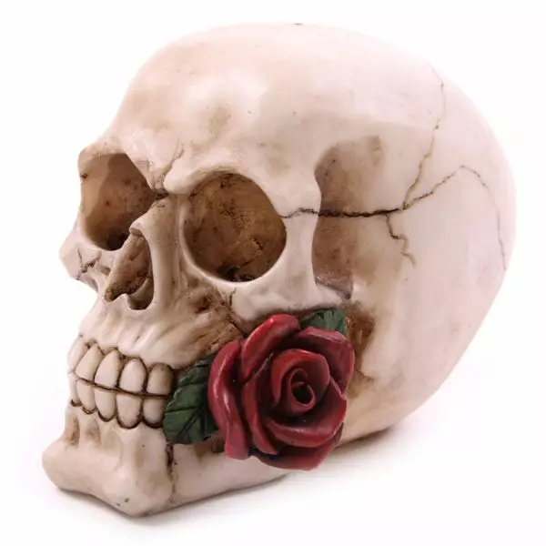Pääkallo Skull with Red Rose - Kallot, Halloweenrekvisiitta - HOR708 - 1