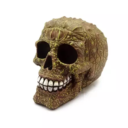 Krokokallo, 10,5 x 12 x 15,5 cm - Kallot, Halloweenrekvisiitta - HOR759 - 1