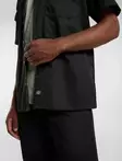 Dickies Work Shirt, lyhythihainen - Kauluspaidat - DIC89 - 5