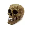 Krokokallo, 10,5 x 12 x 15,5 cm - Kallot, Halloweenrekvisiitta - HOR759 - 1