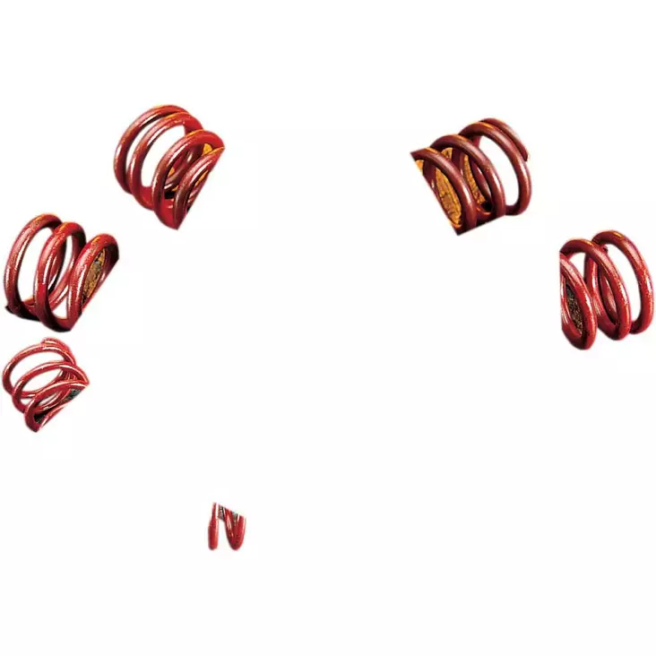 HIGH-LIFT VALVE SPRINGS - Tuulilasit ja etumaskit - DS199739 - 1