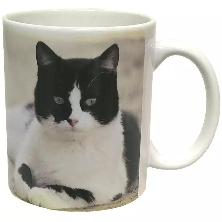 Muki Kissamuki, lahjapakkauksessa - Mukit - MUKI149 - 1